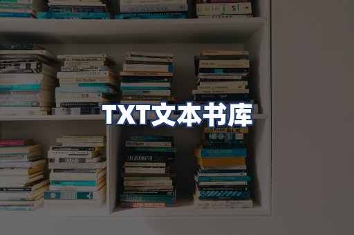 TXT文本书库